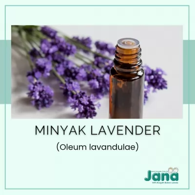 Sejarah Minyak Lavender dan Kegunaannya dalam Pengobatan dan Aromaterapi